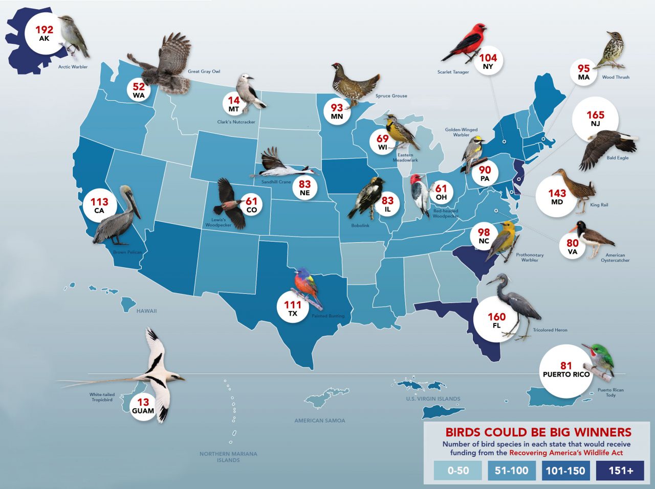 View a larger image of USGS National Look at Species of Greatest Conservation Need as Reported in State Wildlife Action Plans