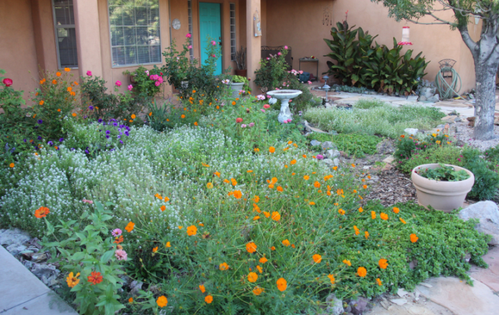 Cover the Foundation. Plantings to obscure house foundations are a nearly ubiquitously desired landscaping element. While the whole foundation should be hidden, make sure the plantings don’t cover any doors or windows. You want the line of sight to these to be open. Photo © Joyce Jenkins